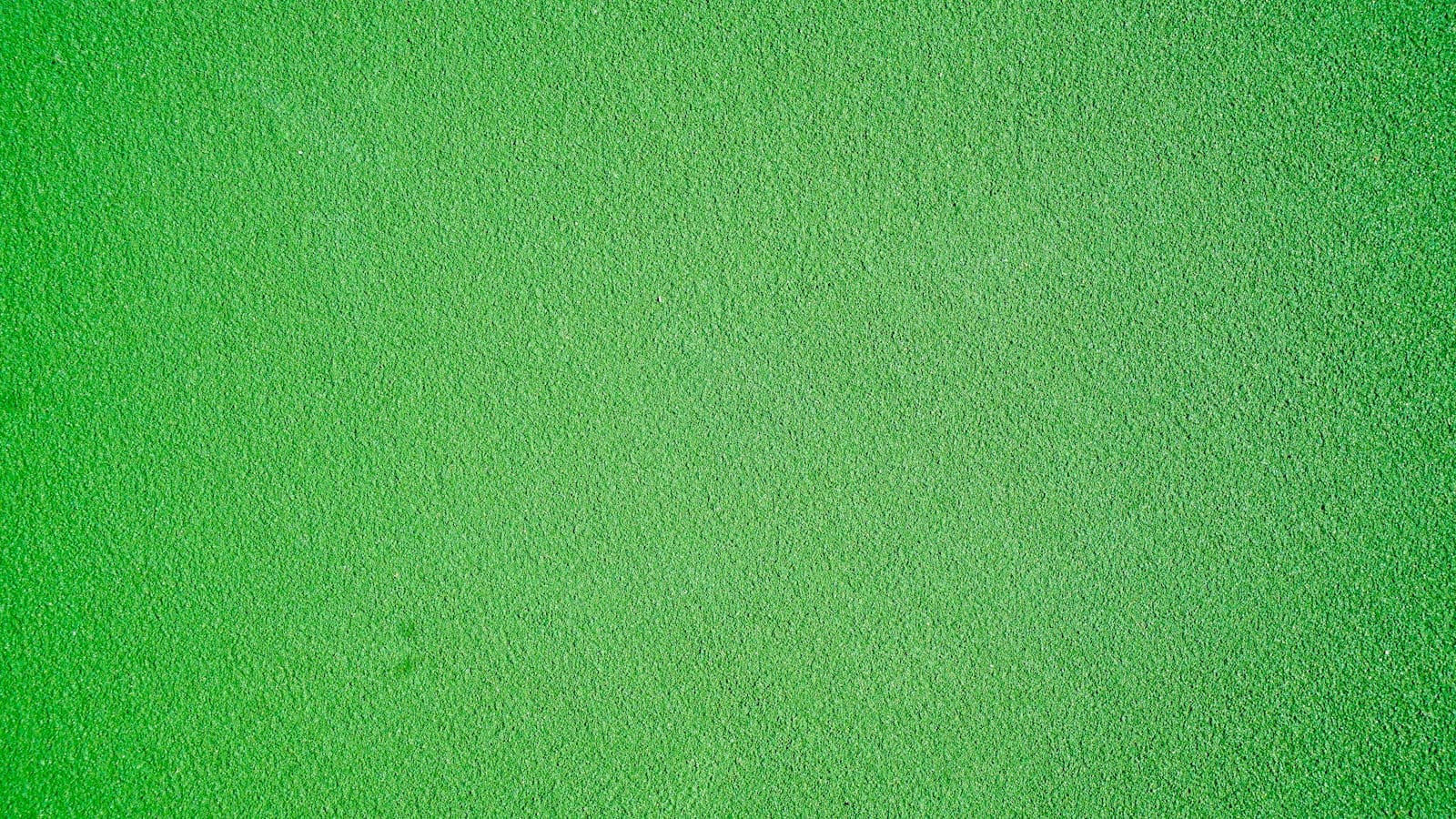 Czego roślina potrzebuje do życia? 2