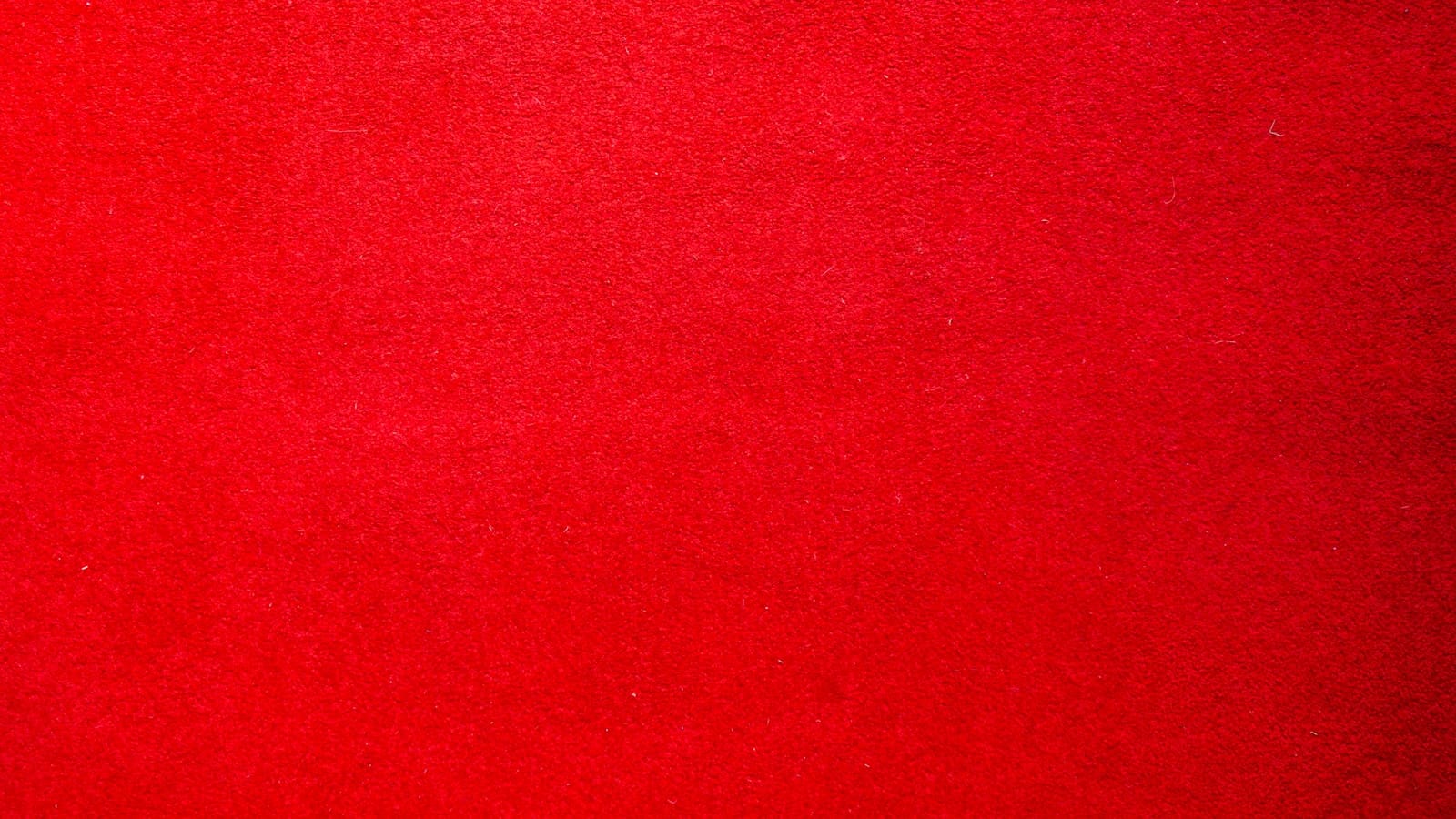 Czego roślina potrzebuje do życia? 4