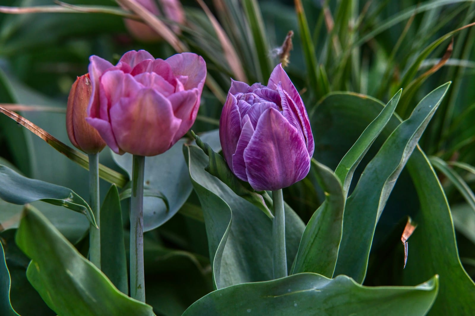 Wiedza o Polsce 6 Wiedza o Polsce 6