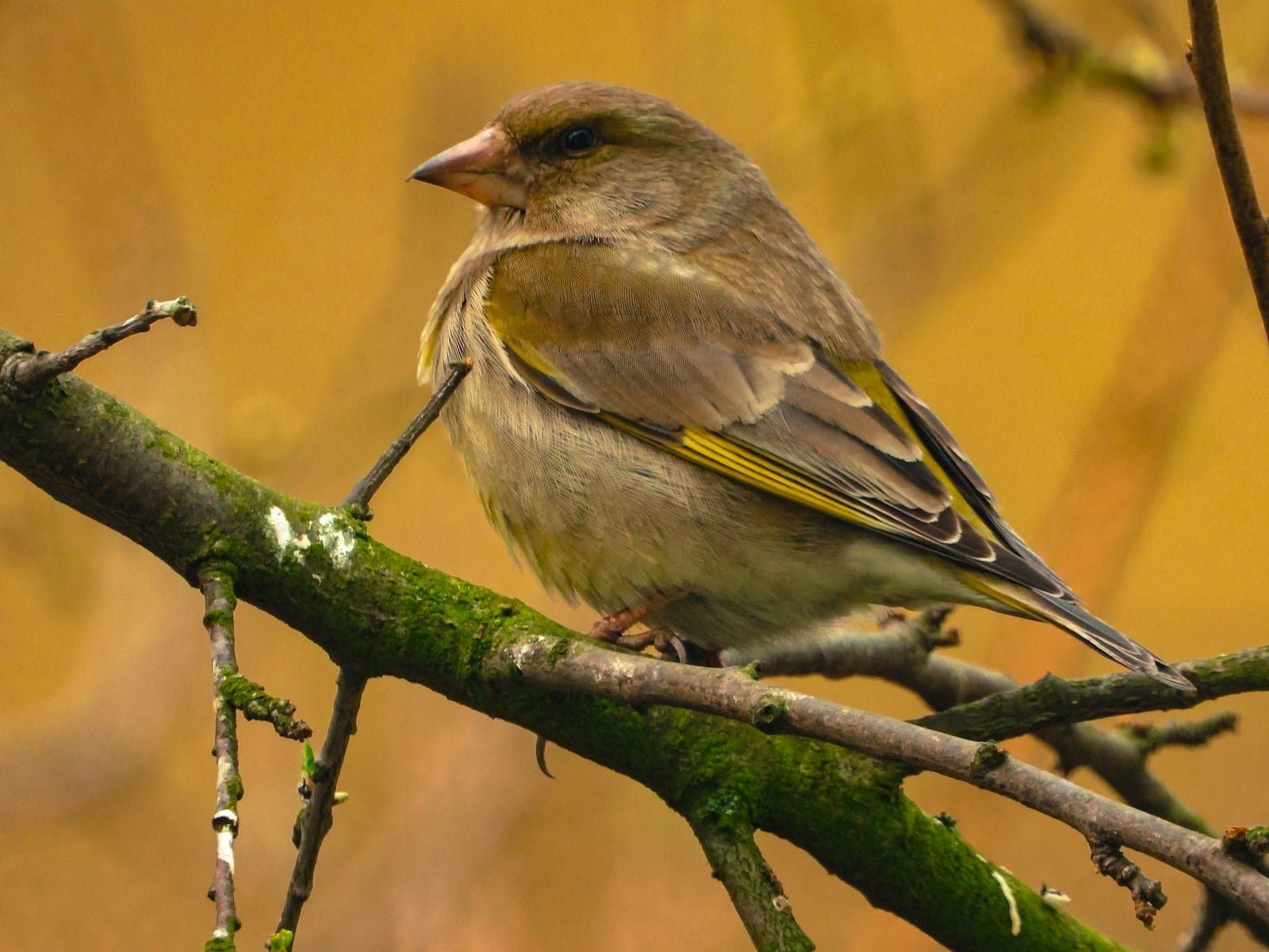 Pory roku 6 Pory roku 6