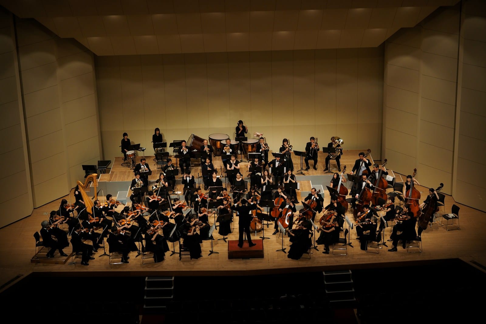 An orchestra is performing on a concert stage.